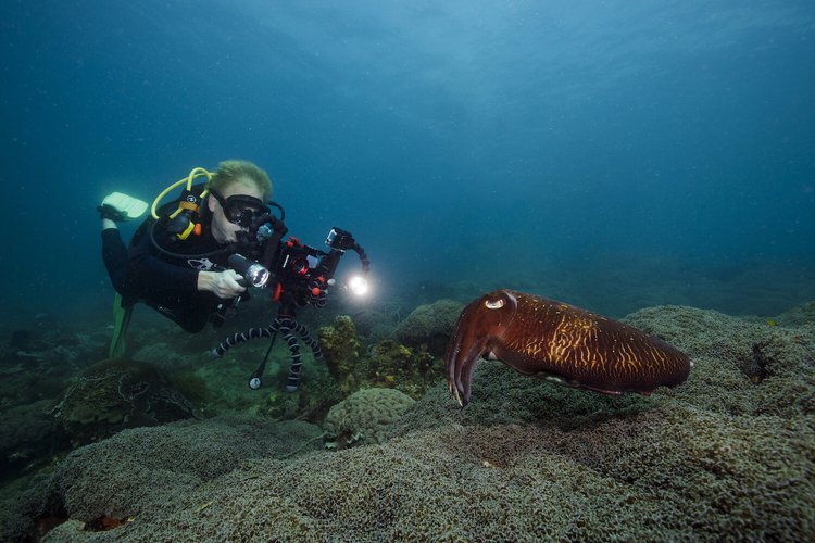 Diving and filming in Indonesia