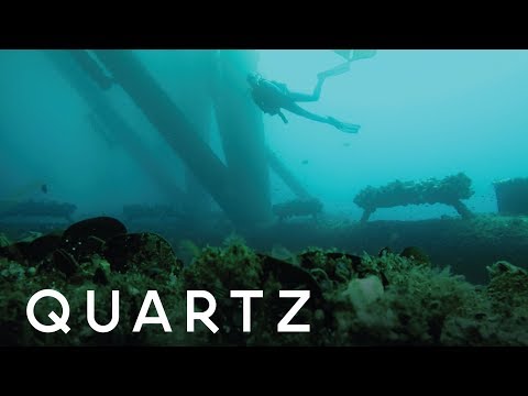 Farms Under the Sea Could Feed the World in 2050