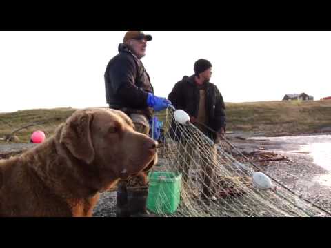 An Alaskan Village in Crisis